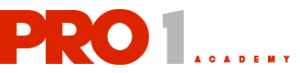 Pro 1 Driving Academy